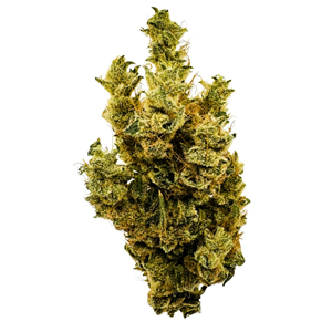 BC Weed Co - Banana Mango 3.5g